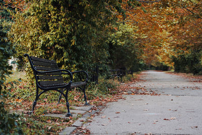 Empty bench in park