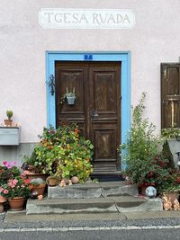 Potted plants outside house against building