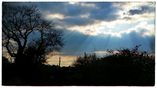 Silhouette of trees against cloudy sky