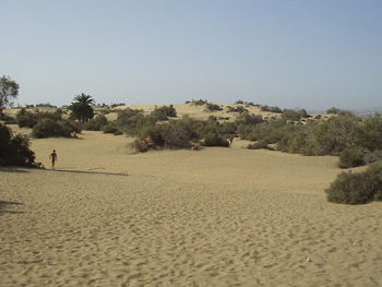 Scenic view of desert against clear sky