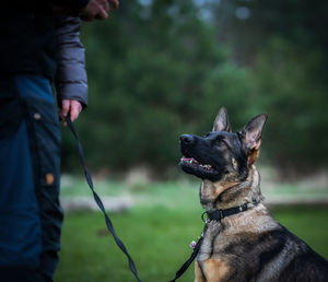 Midsection of man with dog against blurred background