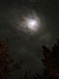 Low angle view of illuminated trees against sky at night