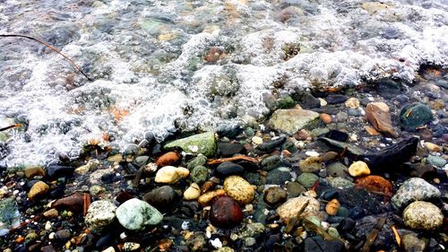 Rocks in shallow water