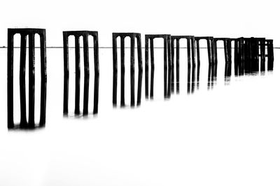 Row of trees in the dark