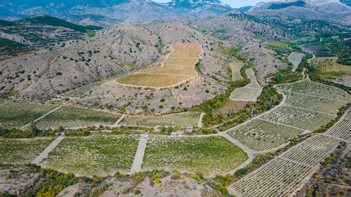 High angle view of zebra crossing on landscape