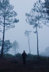 Rear view of man standing on tree against sky
