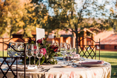 Potted plant on table at home