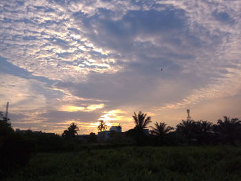Scenic view of field against sky at sunset