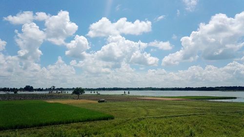 Scenic view of field against clear sky