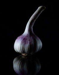 Close-up of white bell against black background