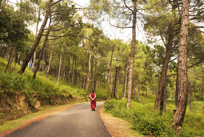 Rear view of woman walking on road amidst trees