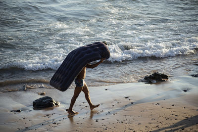 Scenic view of sea shore