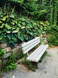 Plants and trees in park