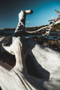 Low angle view of statue against sky