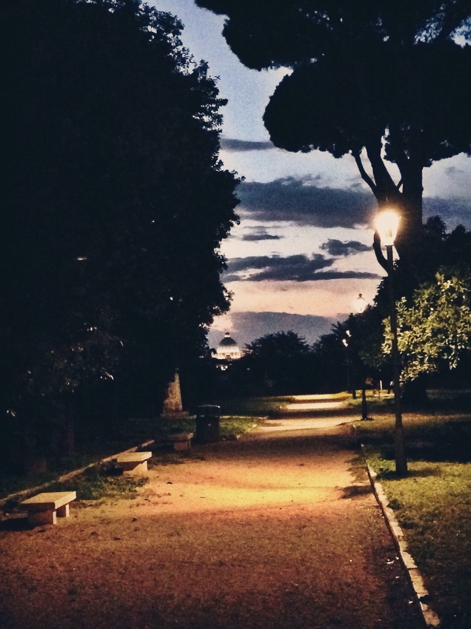 tree, tranquility, tranquil scene, the way forward, sunlight, sun, sky, nature, sunset, beauty in nature, scenics, growth, footpath, branch, road, shadow, street light, outdoors, no people, park - man made space