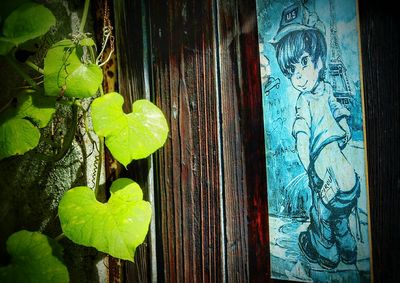 Close-up of leaves on wooden wall