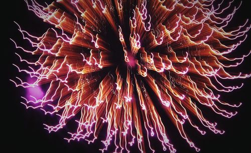 Low angle view of firework display at night