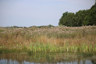 Scenic view of lake against sky
