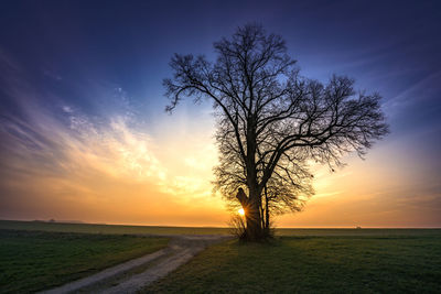 Silhouette bare tree on field against sky during sunset