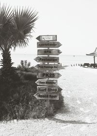 Palm trees at beach against sky