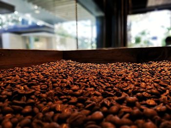 Close-up of coffee beans