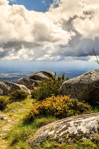 Scenic view of landscape against sky