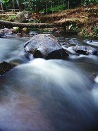 View of waterfall in forest