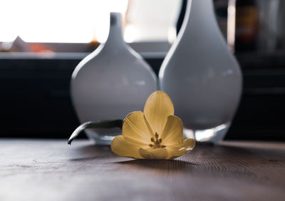 Close-up of yellow rose on table