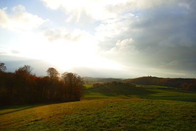 Scenic view of field against sky