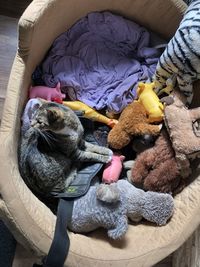 High angle view of stuffed toy on bed