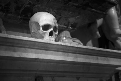 Close-up of human skull