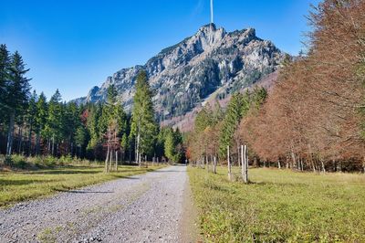 Road amidst trees and plants against sky