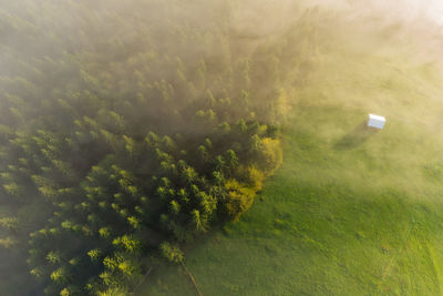 High angle view of trees on field