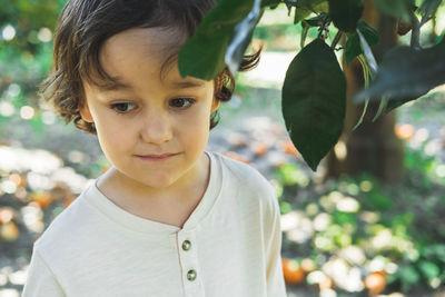 Portrait of a little boy walking in an orange garden.