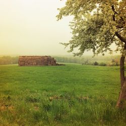 Hay bales on field against sky