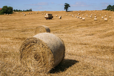 Rolled up bales on field against sky during sunny day