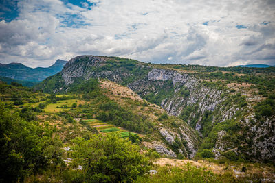 Scenic view of landscape against sky