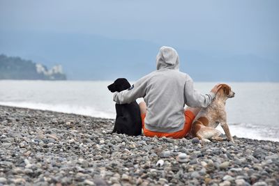 Rear view of dog on beach