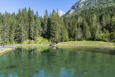 Scenic view of lake by trees against sky