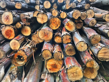 Full frame shot of logs in forest