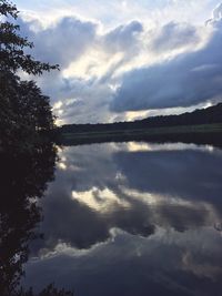 Reflection of trees in calm lake