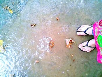 High angle view of legs in water