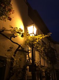 Low angle view of flowering tree by building against sky