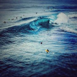 Man swimming in sea