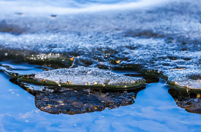 Close-up of ice floating on wet land