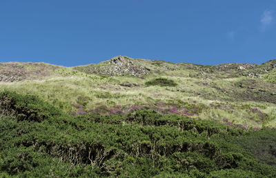 Scenic view of mountains against clear blue sky