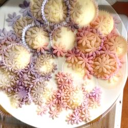 Close-up of food in bowl