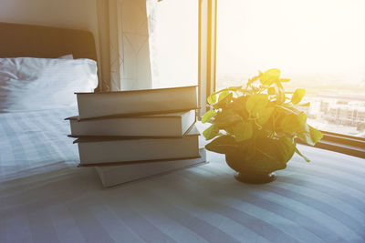 Flower vase by window at home