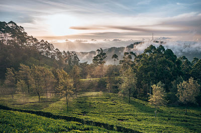 Panoramic view of landscape against sky