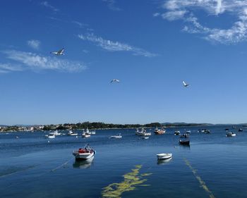 Boats in sea against sky